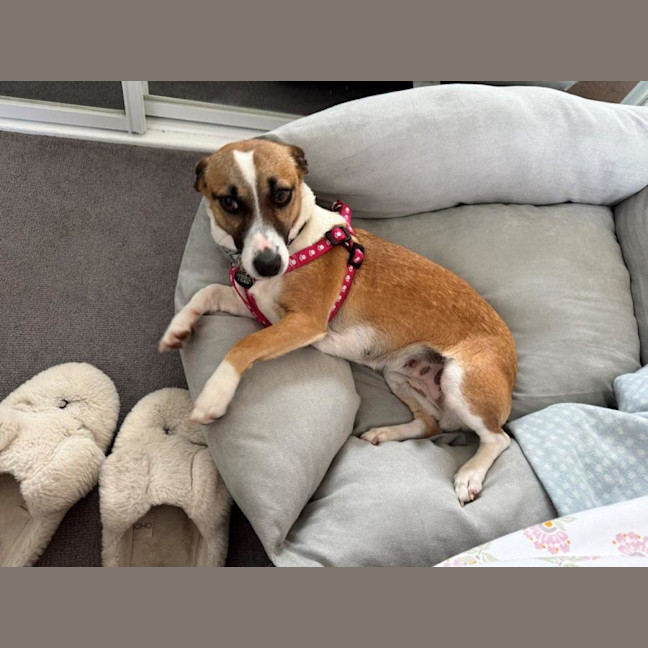 Photo of Lillie Uffelman