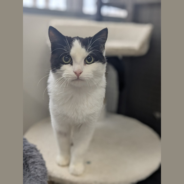 Photo of 🥇 Hulu 6043 🥇