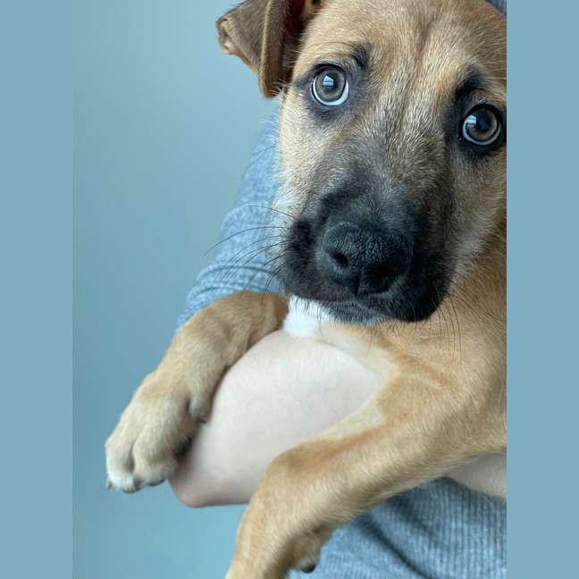 Photo of Bruce