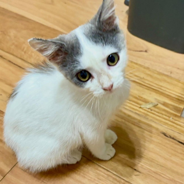 Photo of Charlie
