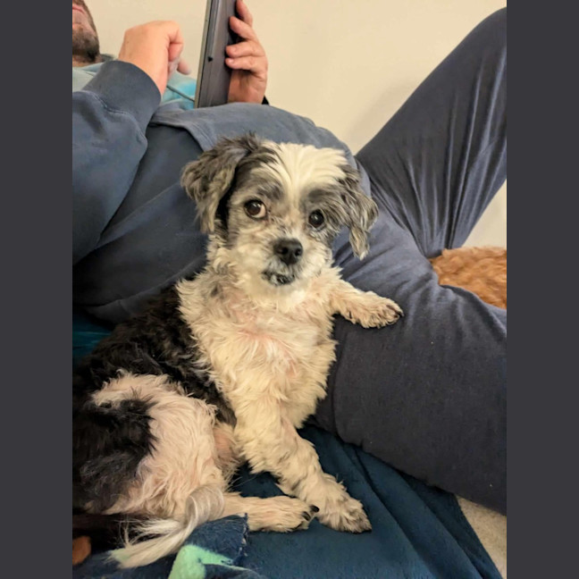 Photo of Molly