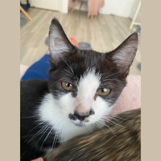Photo of Milly