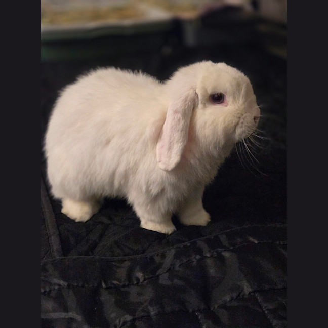 Photo of Adorable Coral 