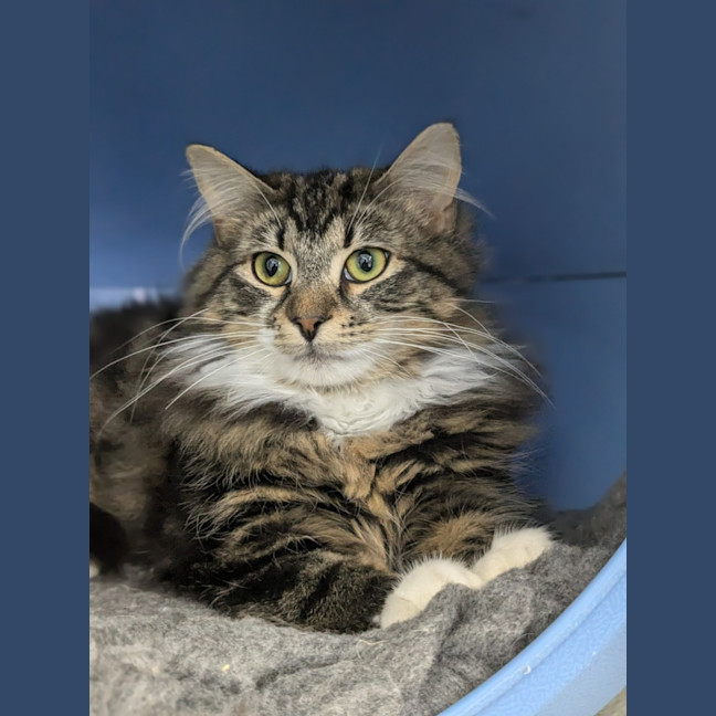 Photo of 🥼 Jesse 5511 🥼