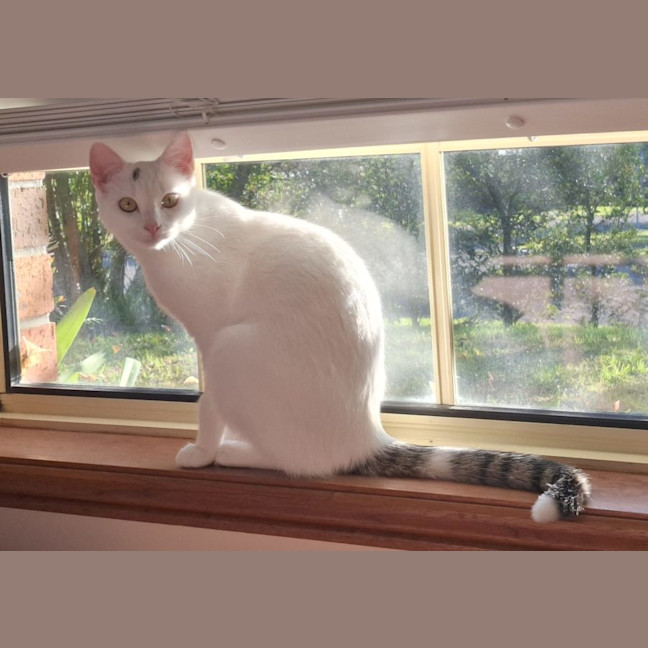 Photo of Ellie