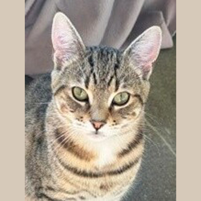 Photo of Fred