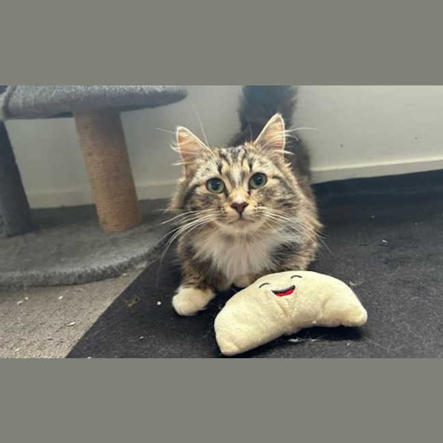 Photo of Bonnie