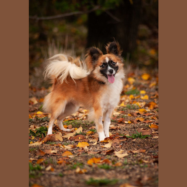 Photo of Arlo