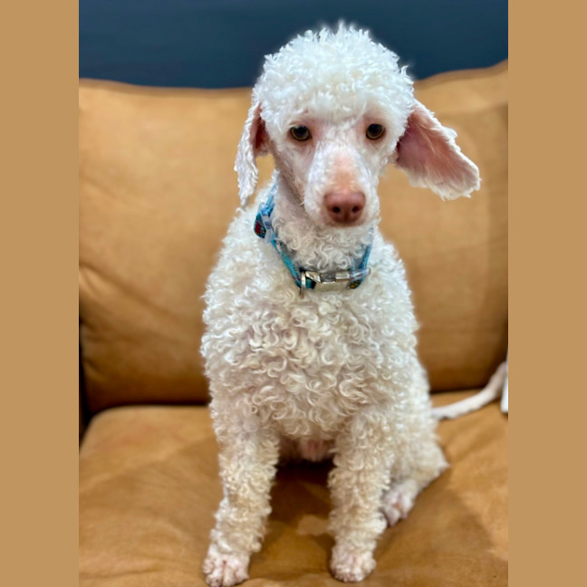 Photo of Winny