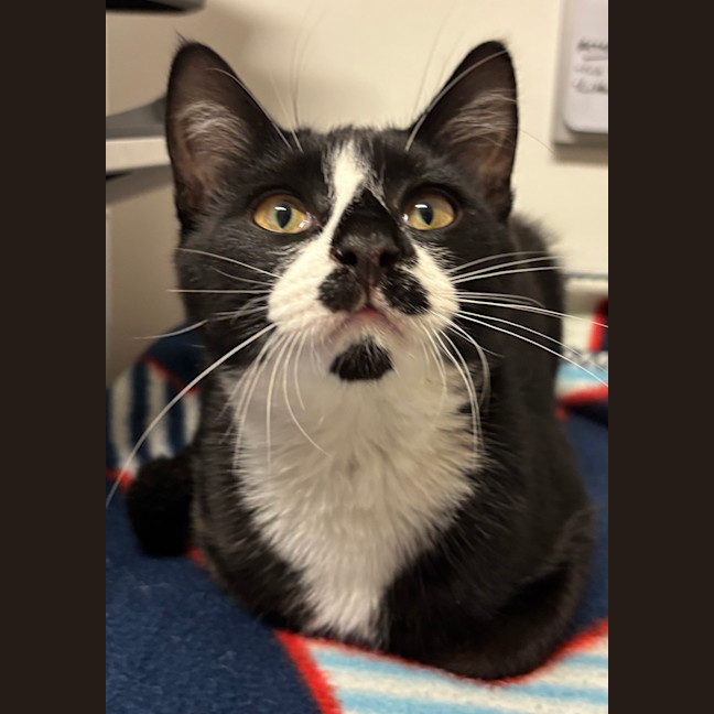 Photo of Mr Bobinski