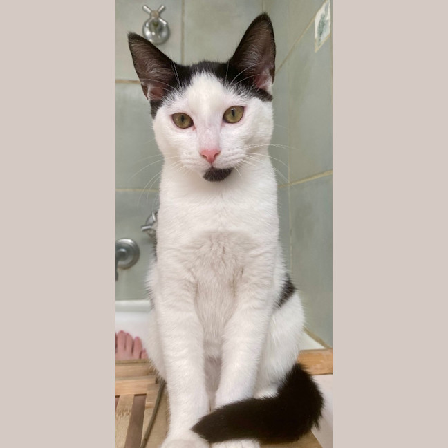 Photo of Zeb Sanderson