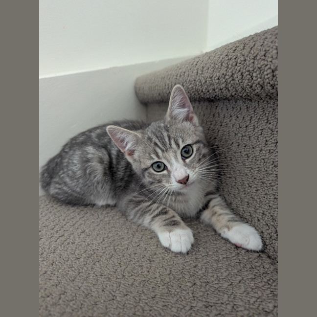 Photo of Isabella Scotty