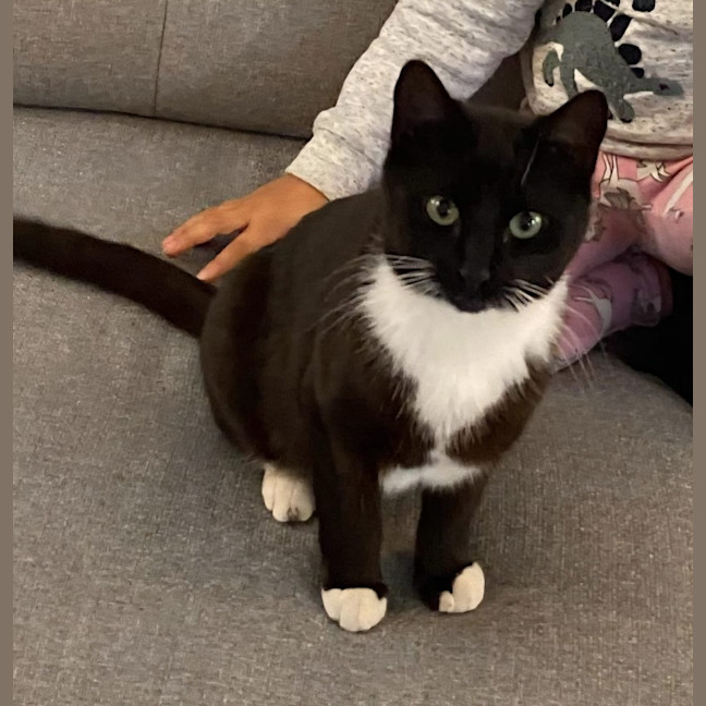 Photo of Midnight