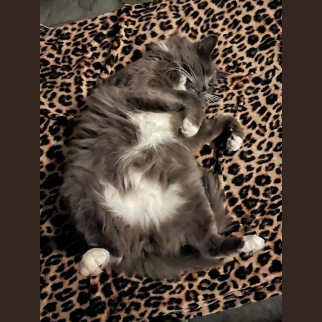 Photo of Lucky Socks