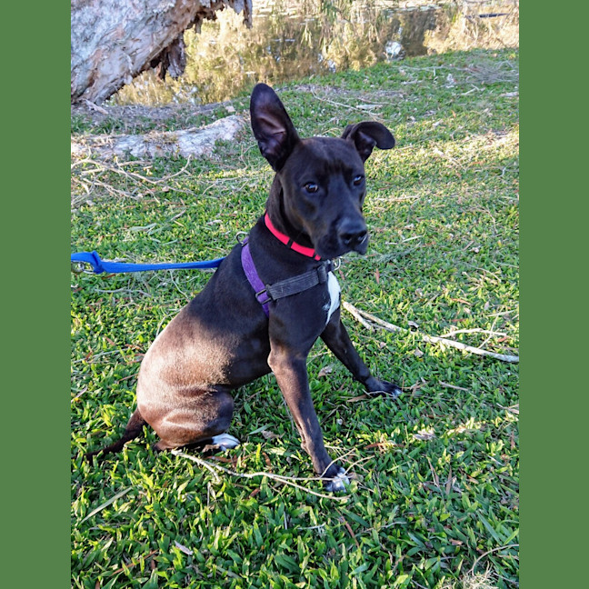 Photo of Lilly