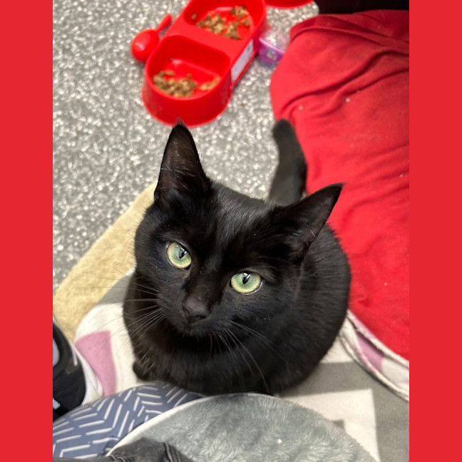 Photo of Abigale And Josie