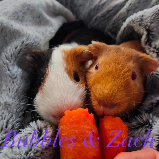 Photo of Zach & Bubbles