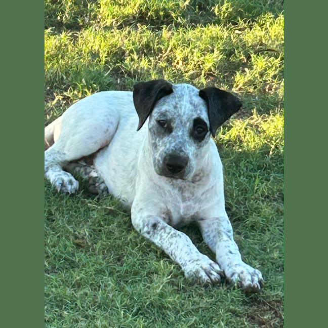 Photo of Bertha