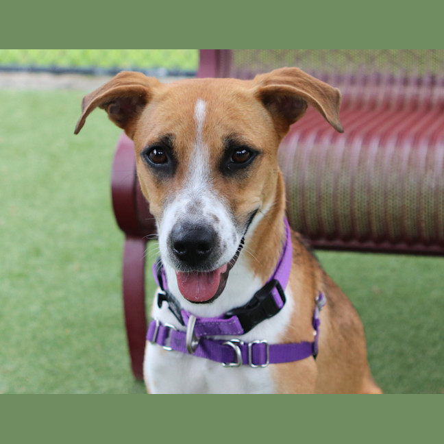 Photo of Leela
