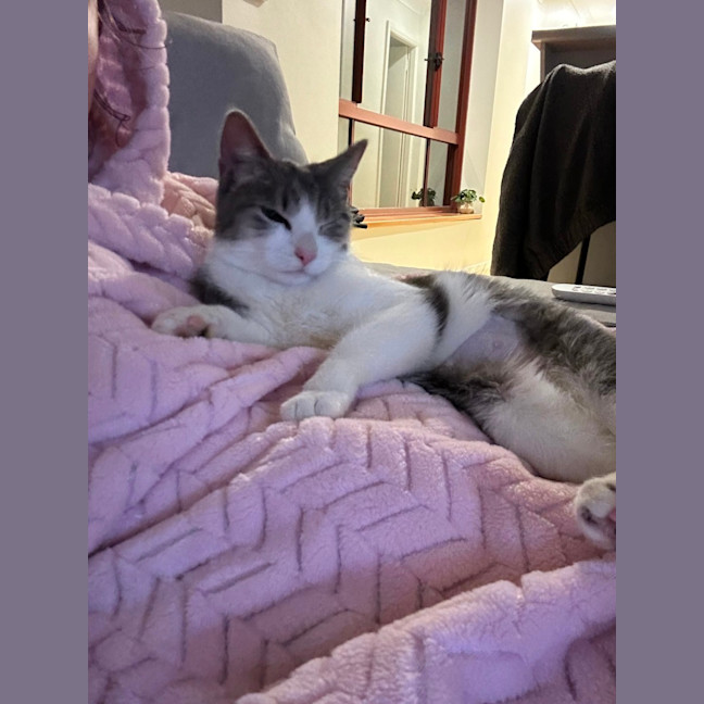 Photo of Athena
