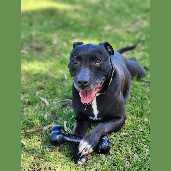 Photo of 🍂 Sienna 5634 🍂