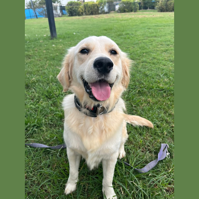 Photo of Bentley