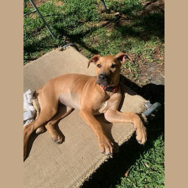 Photo of Penny