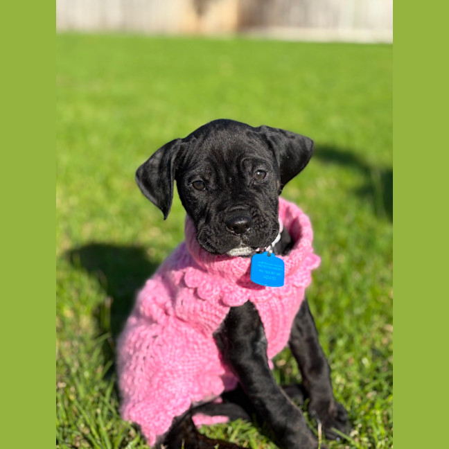Photo of Bear 🐻