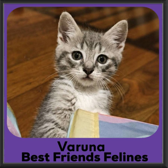 Photo of Varuna