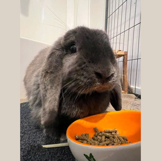 Photo of Louise