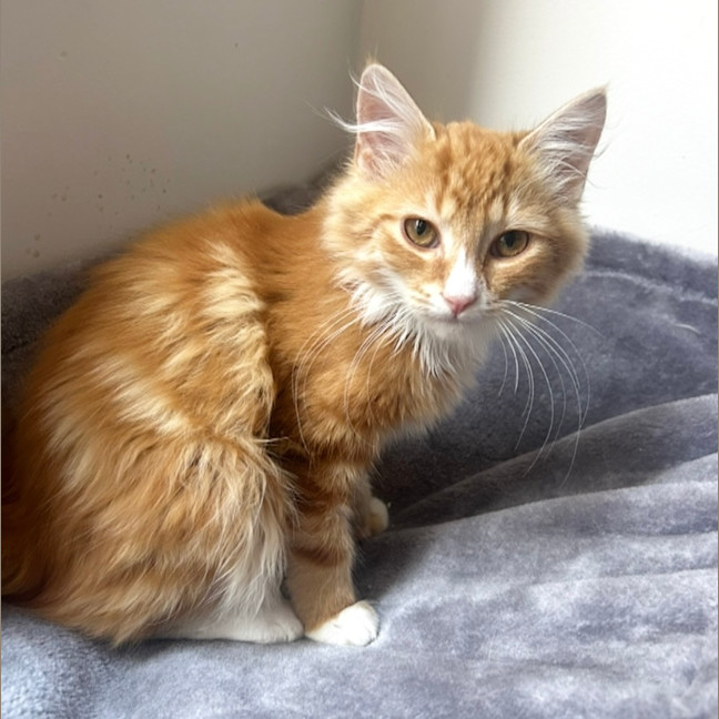 Photo of Jamie ❤️