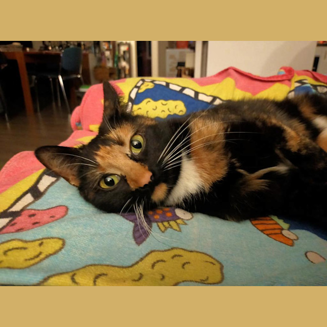 Photo of Xanny (Was Nigiri)