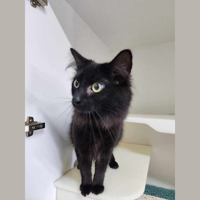 Photo of 💜 Tong 5577 💜