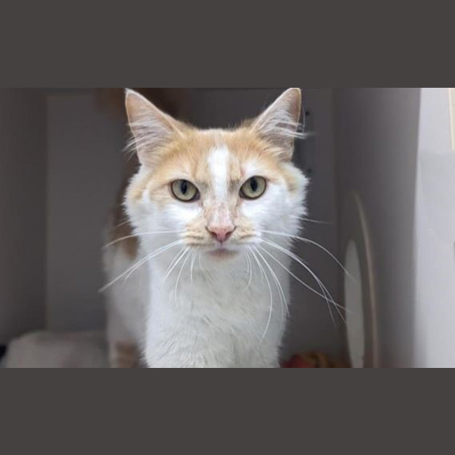 Photo of Sandy