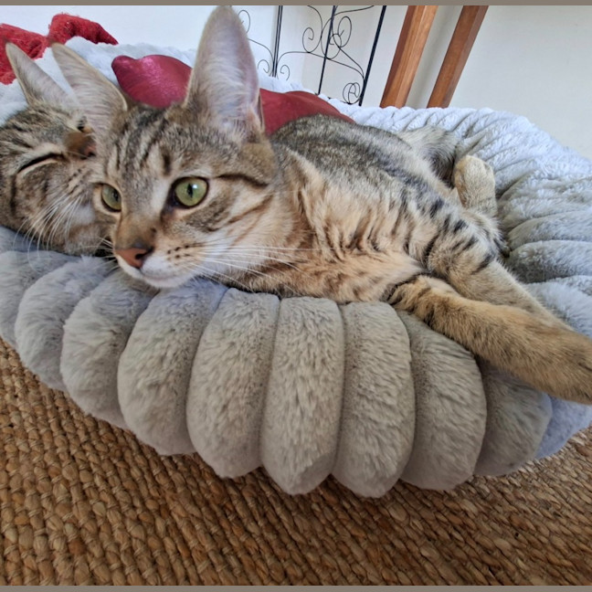 Photo of Twyla