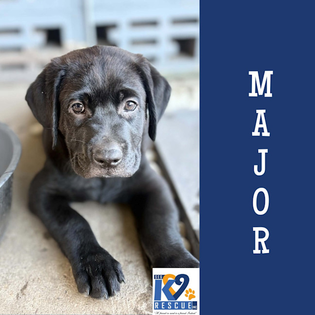 Photo of Major