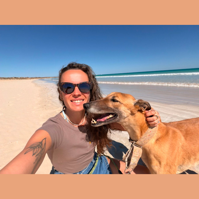 Photo of Greyhound   Atara   In Broome