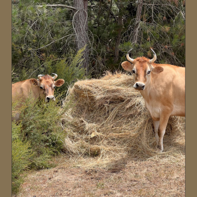 Photo of Wilson And Greg