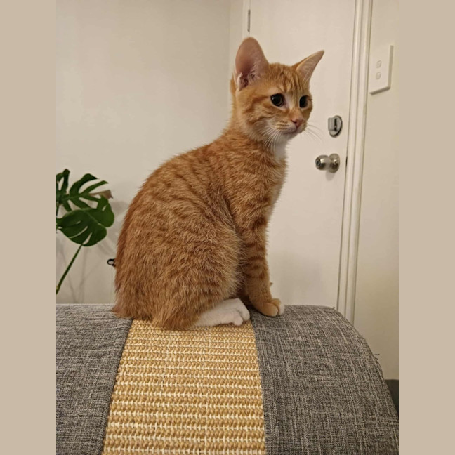 Photo of Hunter