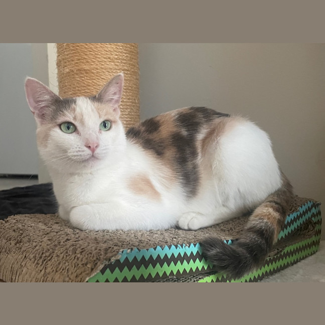 Photo of Tilly
