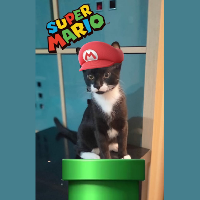 Photo of Mario