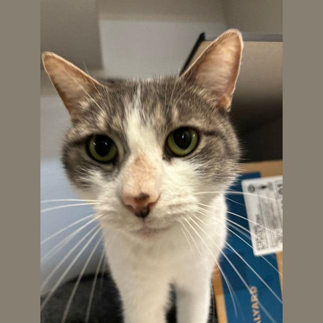 Photo of Heidi
