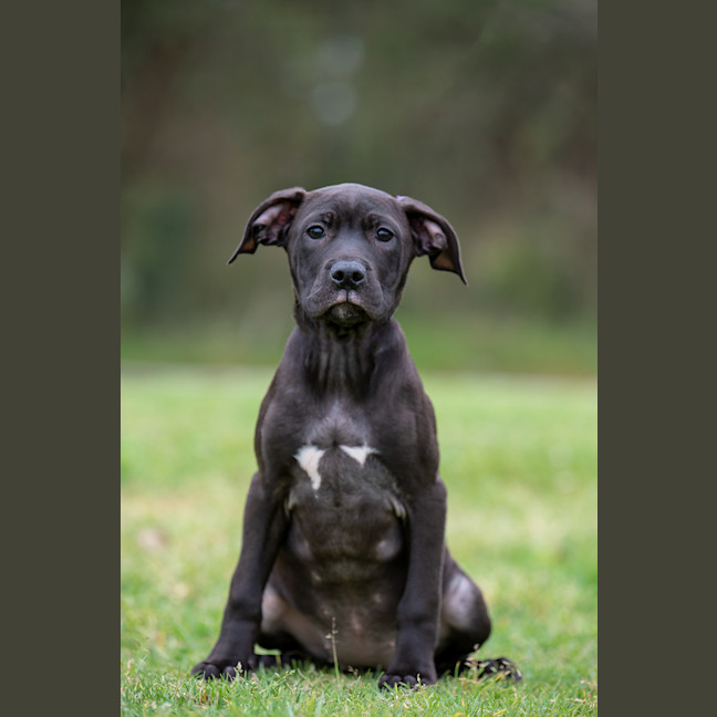 Photo of Matilda