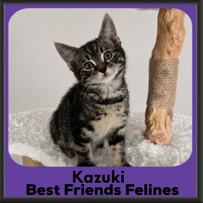 Photo of Kazuki