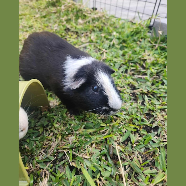 Photo of Jimmy & Tux