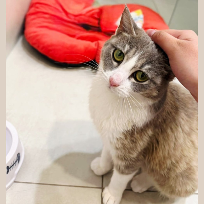 Photo of Thumbelina