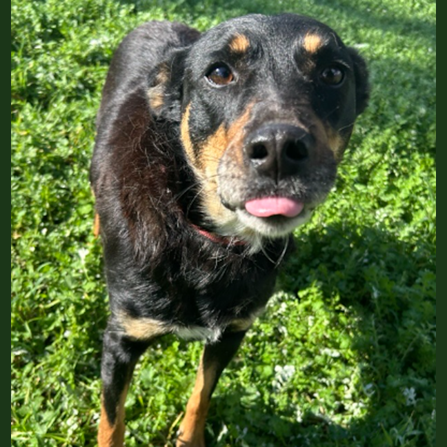 Photo of Coda