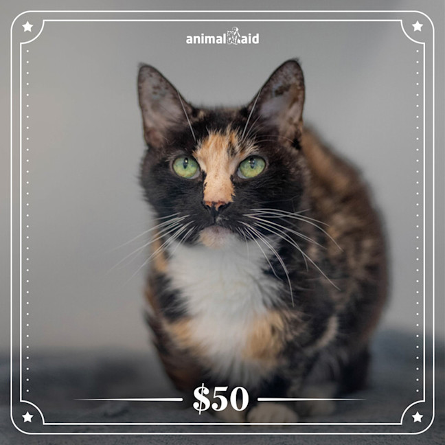 Photo of Smudge