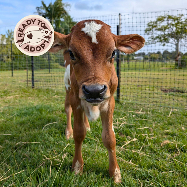 Photo of Chester & Charlie