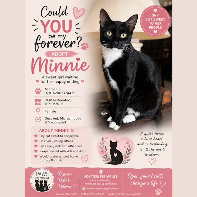 Photo of Minnie 